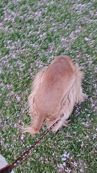 イルキャンティ バーゼ 入間店