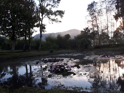 Photos of Kampung Cai Rancaupas
