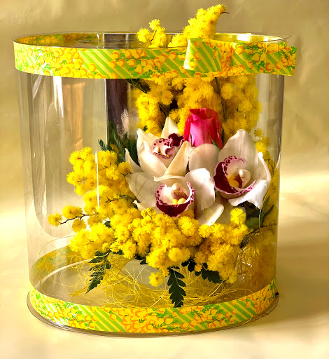 Mari Flor - Visual