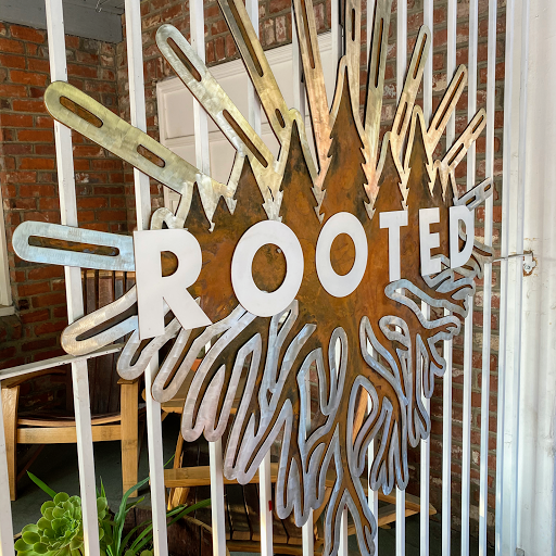 Rooted - Visual