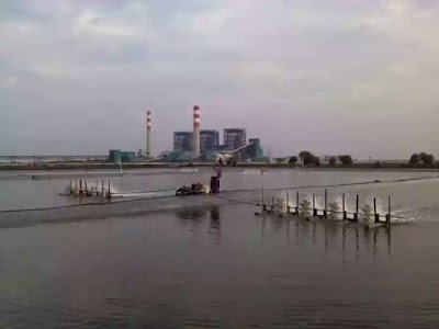 Photos of Tambak demfarm