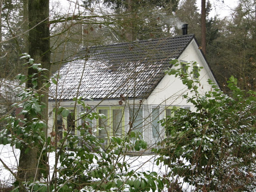 Het Fonteinbos - Stern