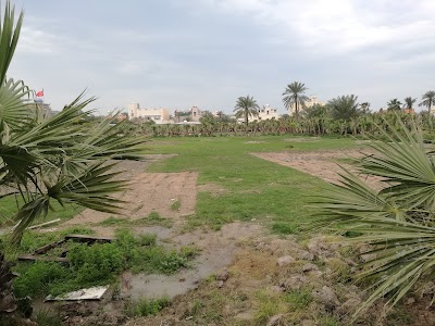 Photos of أبو صيبع للنباتات والزهور
