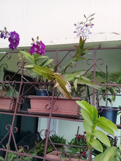 Photos of Villa Hermoza