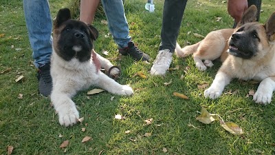 Photos of El Laguito Park