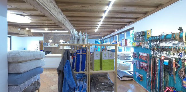 Dog Boutique Ostschweiz