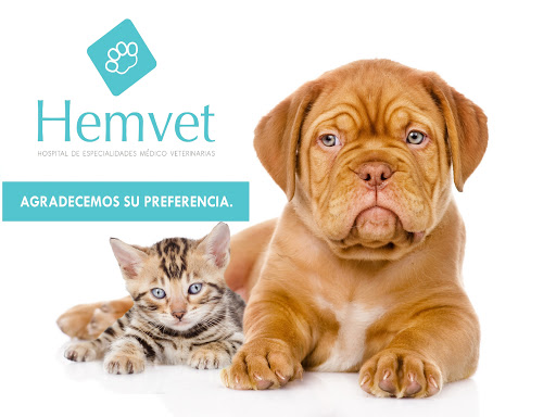 HEMVET Hospital Veterinario