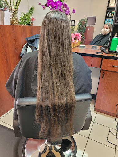 Z3 Salon - Visual