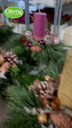 Oertig Blumen und Pflanzen Oerlikon Öffnungszeiten