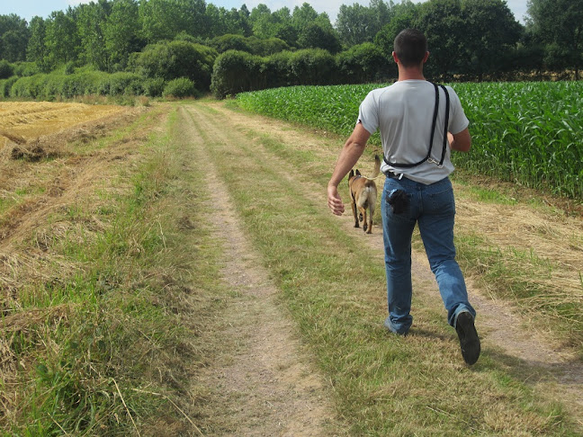 La Lande Fauvel, 35290 Saint-Méen-le-Grand