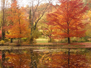 Photo n°30 de LES PRES DE GITTONVILLE à Saclas (Chambre d'hôtes)