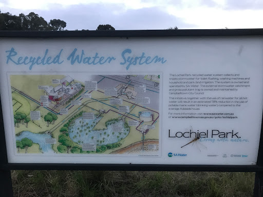 Lochiel Park Community Garden - Thumbnail