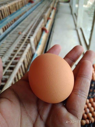 Photos of Shaniazan Bazar