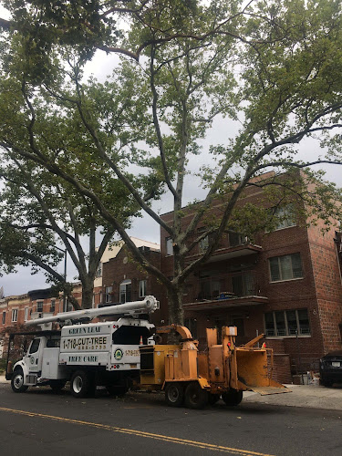 GreenLeaf Tree Removal | 24/7 Emergency Tree Service