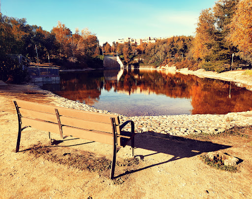 Parque estanque - Visual