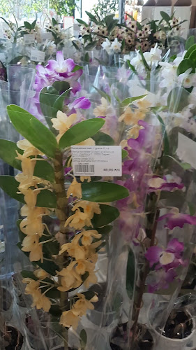 Recenzije Vrtni centar Flora u Zagreb - Drugo