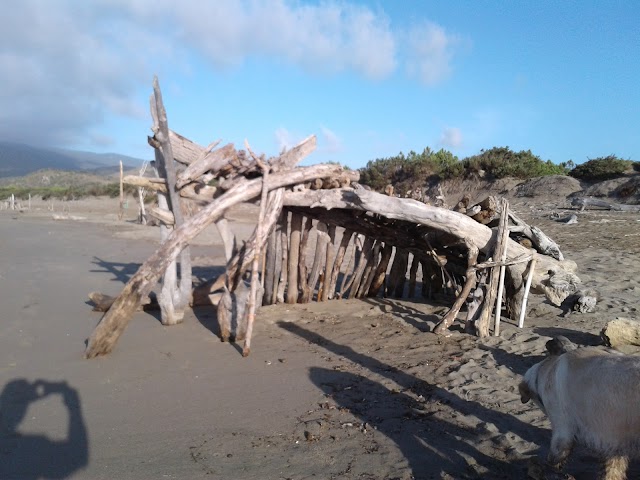 Camping Feniglia