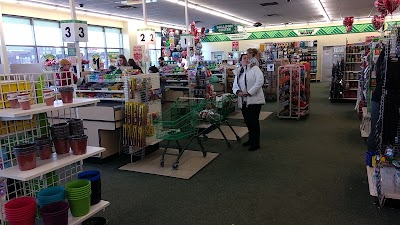 Dollar Tree