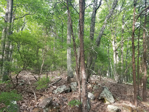 Nanny's Mountain Historical Site - Thumbnail
