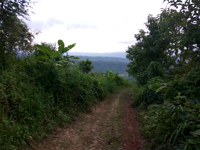 Photos of Attapara