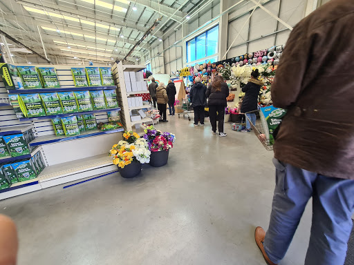 What! Stores - Visual