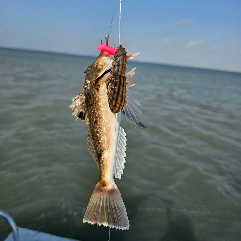 Crystal Flats South Padre Island Fishing Guides - Fishing Charter