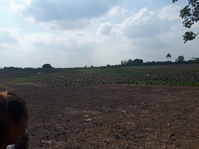 Photos of Bosque Protector "Pedro Franco D&aacute;vila"