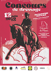 Photo n°29 de ECOLE D EQUITATION DU PIROUE à Dommartin-sous-Amance (Club de sport)