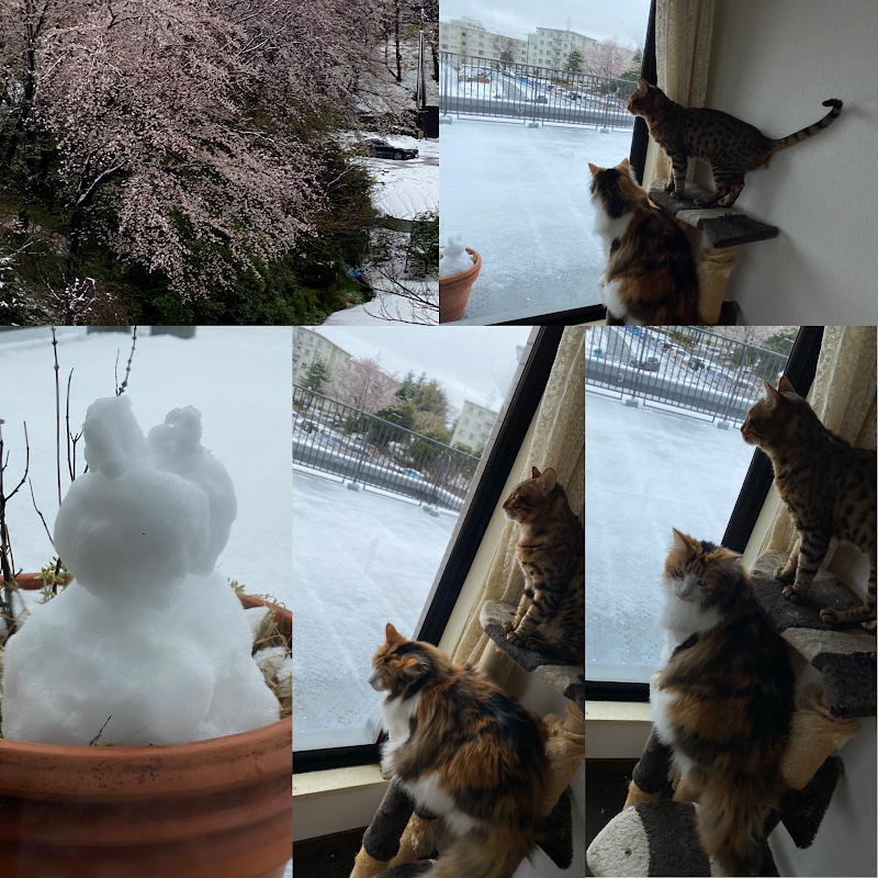 居酒屋スナック 桜