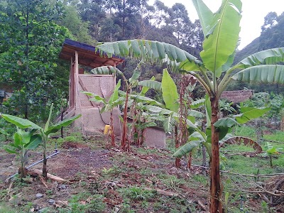 Photos of Chambalabamba