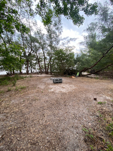 SL-7 - Visual