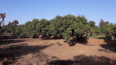 Photos of Laxmi Farms
