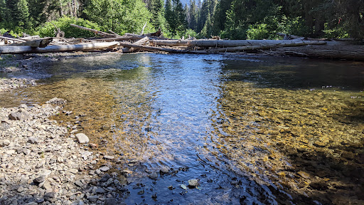 Salmon Cove Group Site Logo