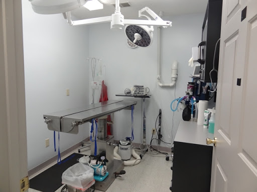 Access Veterinary Care - Thumbnail