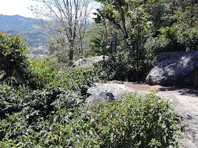 Photos of Reserva Natural Madre Verde