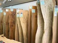 ギャラリー 森の芽ぐみ