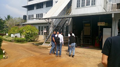 Photos of Noori Tea Factory