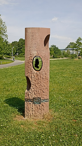 Grünbrücke - Visual