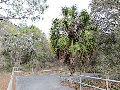 Florida Trail Citrus Springs Trailhead Gallery - United States