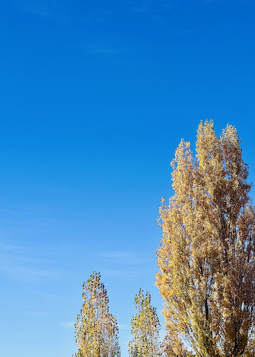 For the Love Of Jindabyne Gallery - Australia