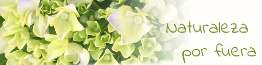 Nela Biosense - Visual