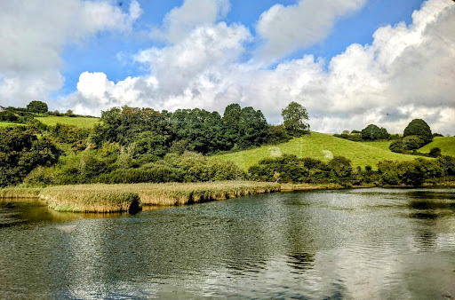 Looe Valley Line - Thumbnail