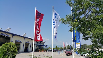 Photos of N. Kojabashev