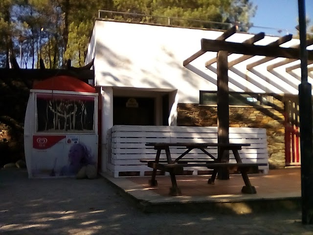 Grass Reboleira