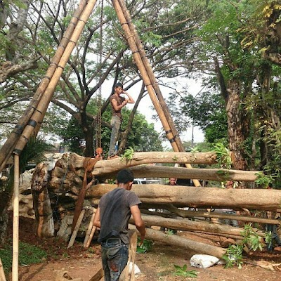 Photos of Garden Center | Tukang Taman Surabaya