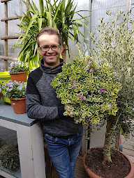Photo n°20 de Le Marché aux Fleurs à Ribécourt-Dreslincourt (Fleuriste)