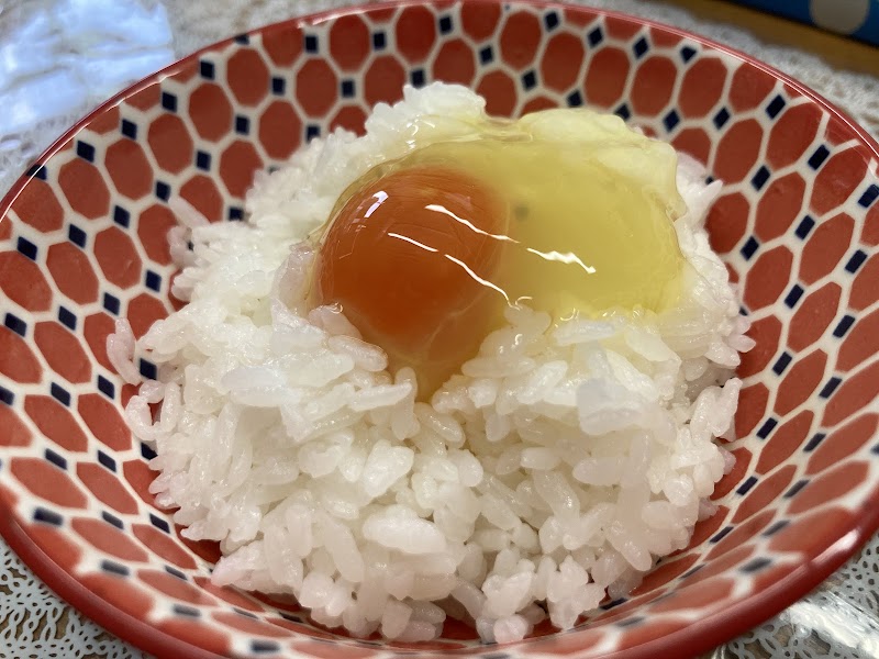 占いカフェ 恐竜や