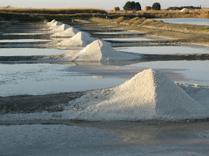 Photo n°7 de Marais de la Savinière à La Guérinière (Magasin d'épices)