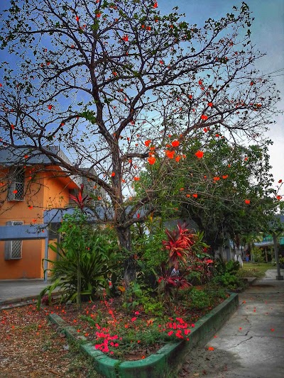 Photos of Universidad de San Carlos de Guatemala - CUDEP