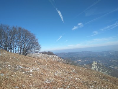 Photos of Amici del Carmo